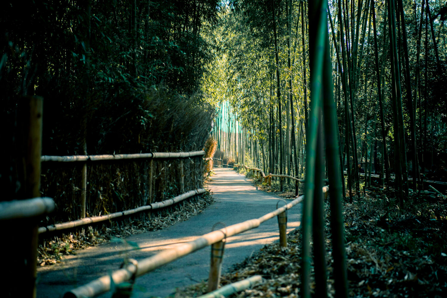 Japan hike