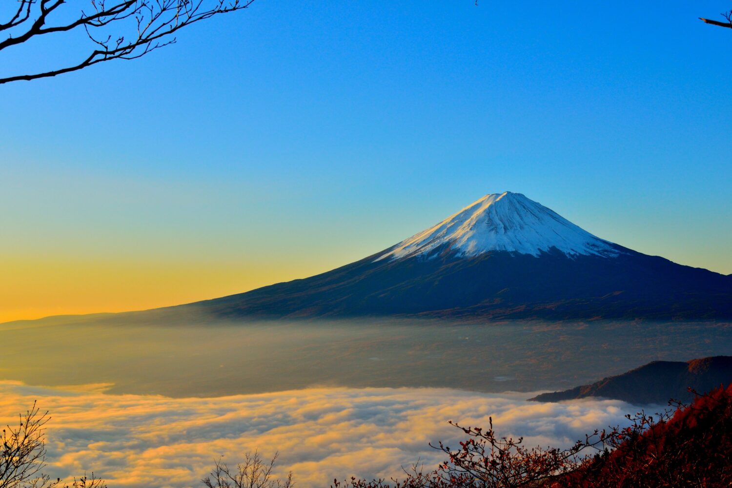 Mountain Fuji View