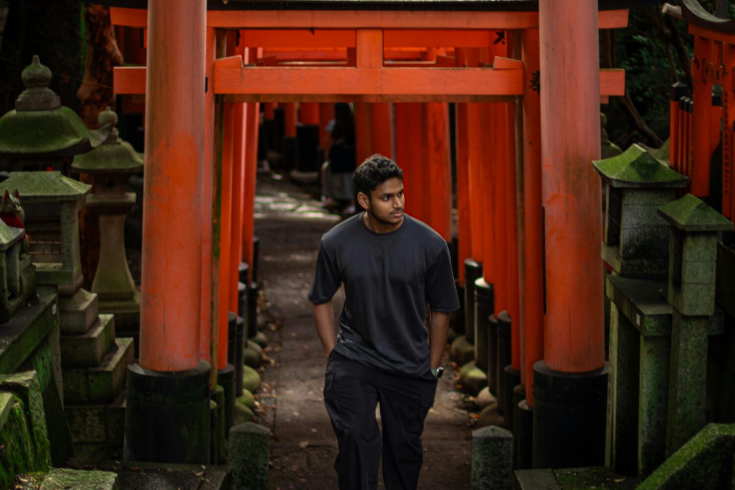 Japan torii gates