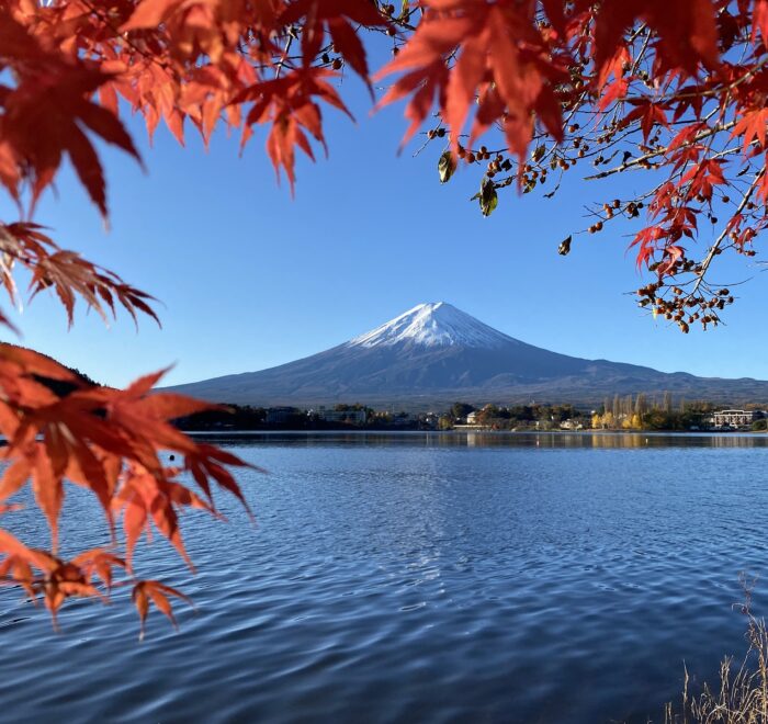 Fuji view