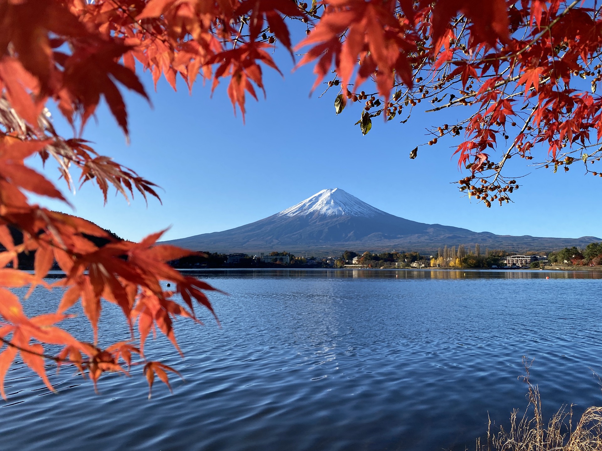 Fuji view