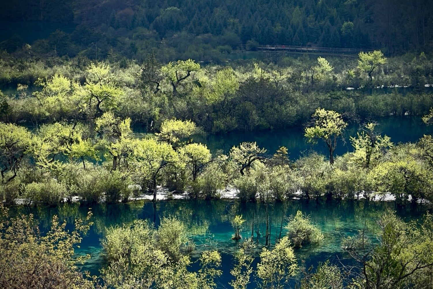 Sichuan view